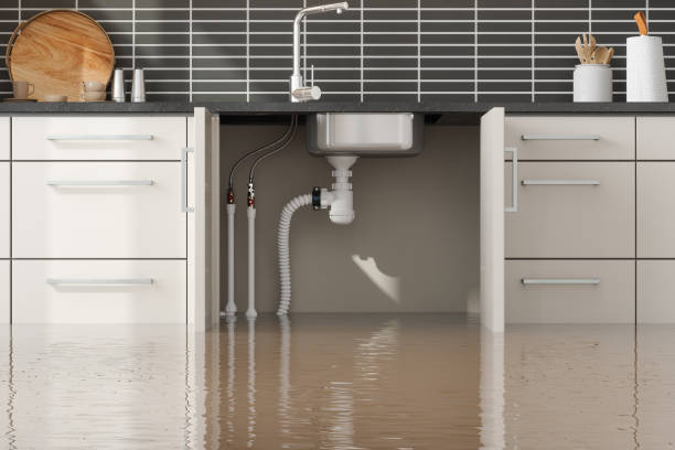 Reliable Linden, TN Water damage restoration Solutions